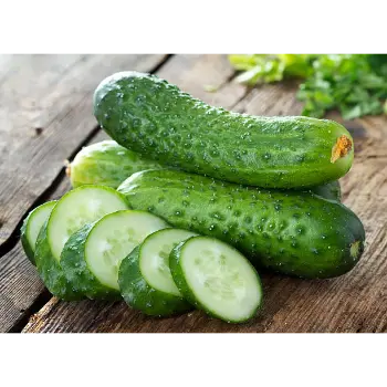 cucumber (18)-7092125-47000.webp